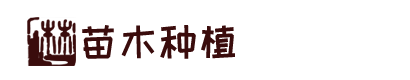 凯发k8国际真人app